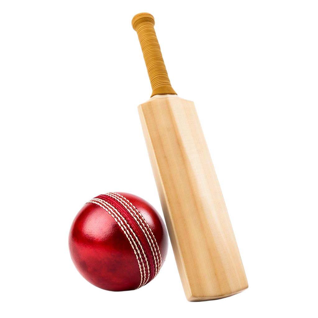 Cricket bat and ball